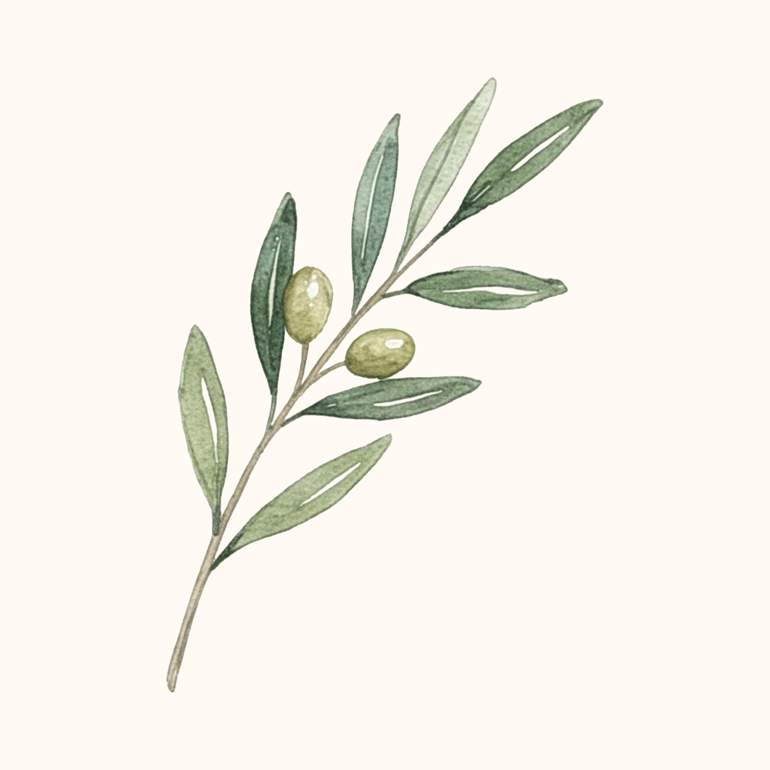 Radionica "Uskrsni običaji - pletenje maslinovih grančica"