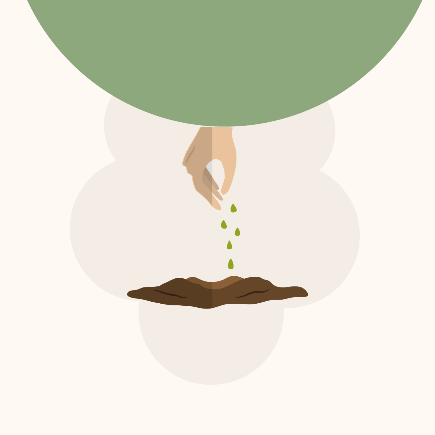 Sjemene bombice - Flora Dalmatica